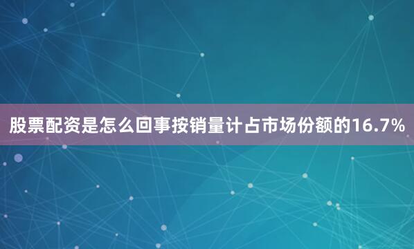 股票配资是怎么回事按销量计占市场份额的16.7%