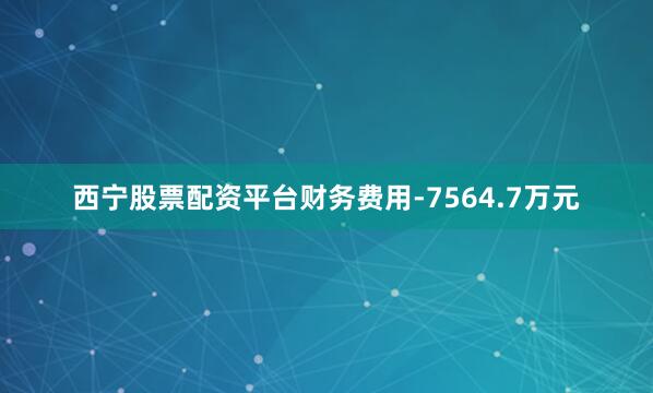 西宁股票配资平台财务费用-7564.7万元